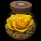 Preserved Real Roses with Colorful Mood Light Wishing Bottle, Eternal Rose, Never Withered Flowers, a Gifts for Women 4.3inch 1pcs (Yellow)
